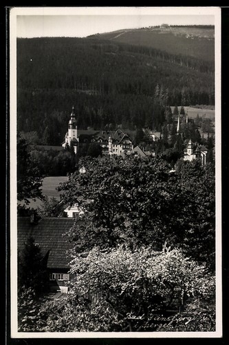 Ansichtskarte bad flinsberg - ansichtskarte,