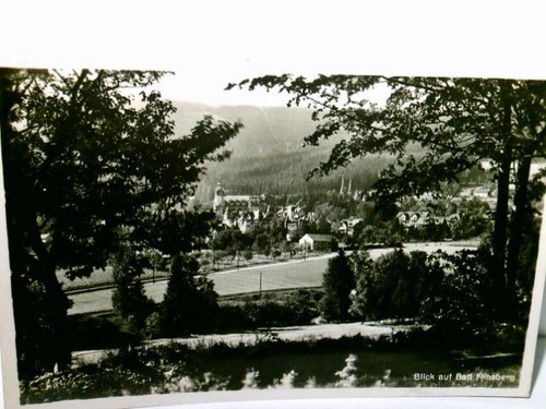 Blick auf bad flinsberg - auf,