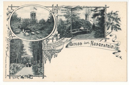Litho gruss vom - litho, hasenstein